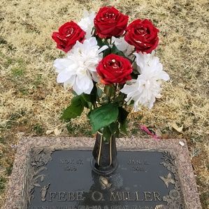 Meet your Posher, Phoebe